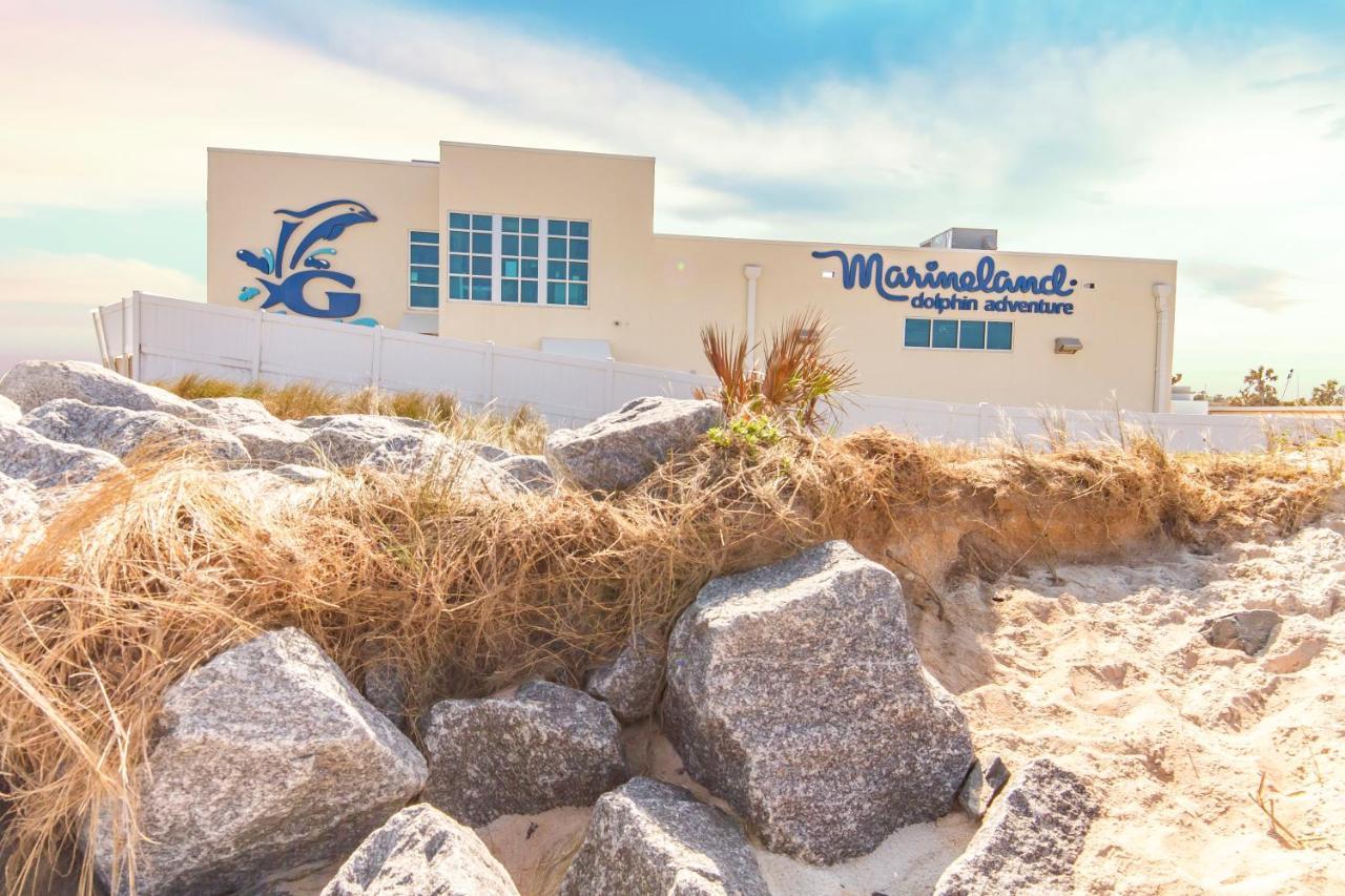 Ocean Village Club D23 سانت أوغيستين المظهر الخارجي الصورة